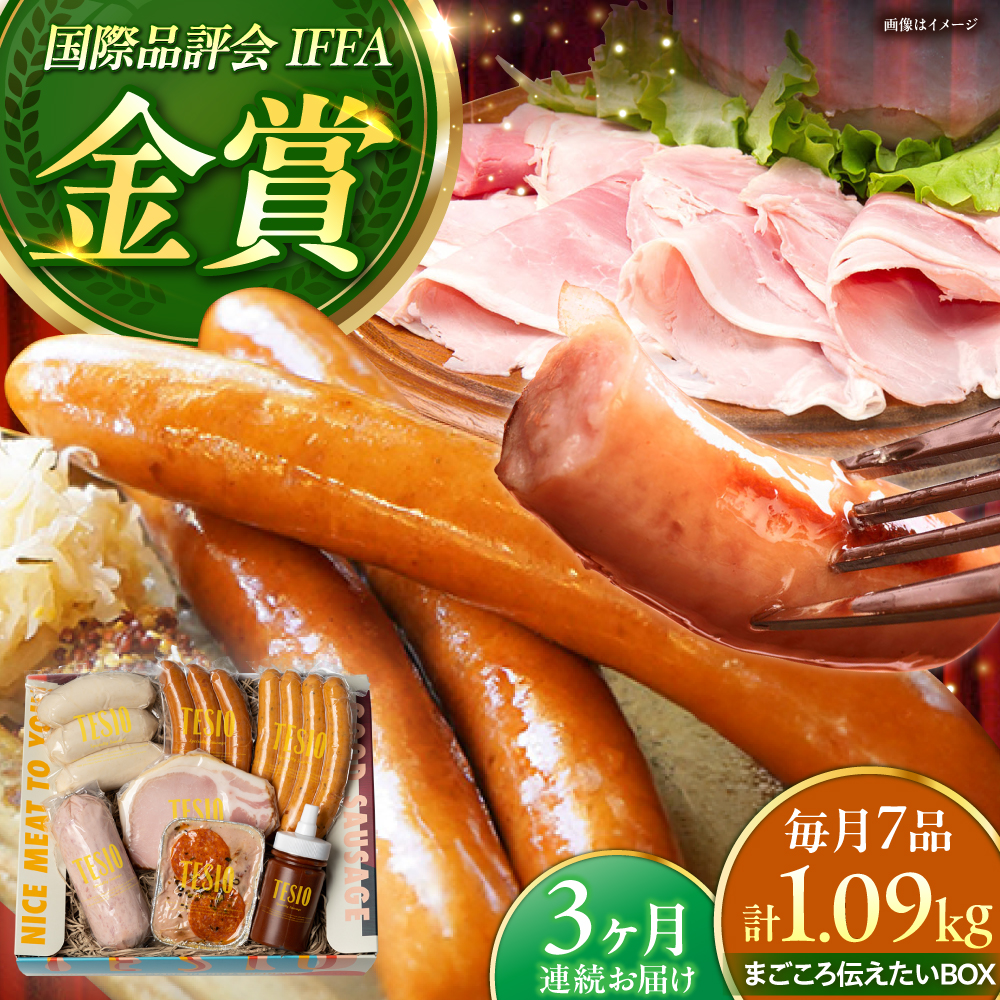 【全3回定期便】TESIOの自家製ハム＆ソーセージ 『まごころ伝えたいBOX』 豚肉 ハム ソーセージ 小分け 真空パック 沖縄市 / TESIO [BCAD013]