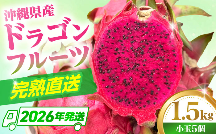 【2026年発送】 【小玉】 完熟ドラゴンフルーツ 1.5kg (5玉) 果物 フルーツ スーパーフード 産地直送 沖縄市 / タカエスフルーツ＆ベジタブル [BCBH005]
