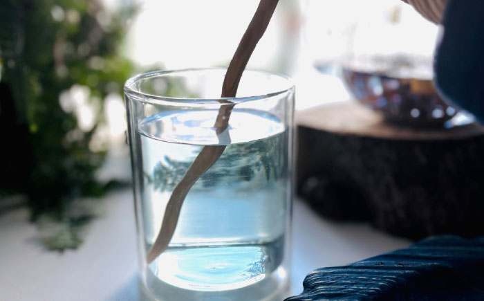 魔法の杖マドラー カトラリー マドラー 沖縄県産 木工 琉球松 リュウキュウマツ 魔法 マジック 杖 沖縄市 / majonowa [BCEB001]