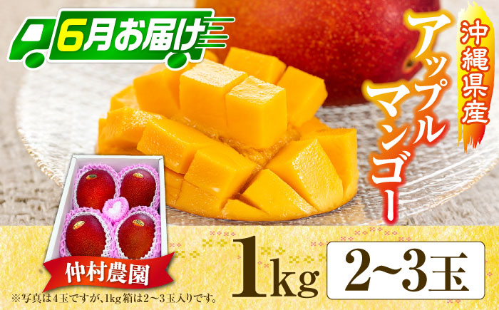 【全4回】 沖縄の特産よくばり定期便 (佐渡山牛・アップルマンゴー・沖縄そば・石垣牛ハンバーグ&ステーキ) 沖縄市 / 仲村農園 / 肉のサブロー / アワセそば食堂 / お肉屋本店 [BCZZ050]