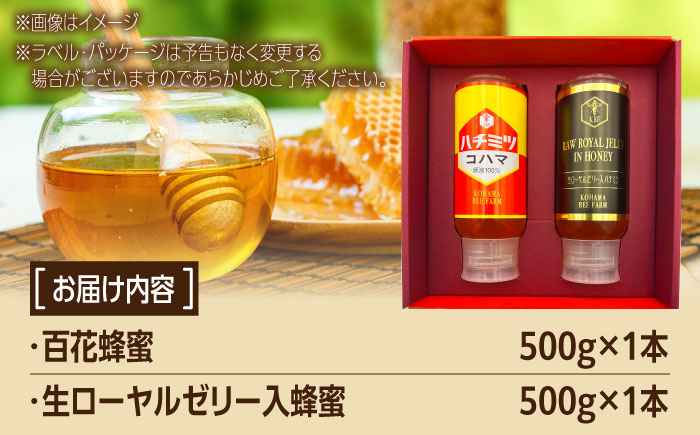 コハマのハチミツ 500g 2本セット 蜂蜜 はちみつ ハチミツ 国産 ギフト  沖縄市 / 農業生産法人株式会社小浜養蜂場 [BCAQ004] 