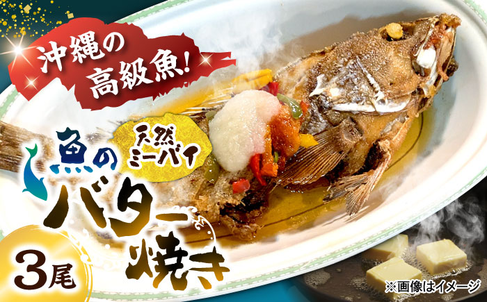 魚のバター焼き 沖縄三大高級魚 天然ミーバイ 3尾 沖縄料理 ミーバイ バター焼き お取り寄せ 冷凍 沖縄市 / 海産物料理 大漁 [BCED001]