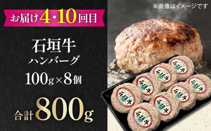 【全12回定期便】家族で満喫！沖縄のお肉贅沢セット【沖縄市】ハンバーグ あぐー 石垣牛 ステーキ 焼肉 冷凍 ギフト お取り寄せ 沖縄市 / お肉屋本店 / 豚々茶舗 / TESIO / 肉のサブロー [BCZZ035]