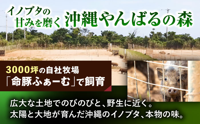 『ハム贅沢セット』 豚肉 ポークステーキ ソーセージ ハム 詰め合わせ お取り寄せ 国産 ギフト 冷凍 沖縄市 / DELICATESSEN NUCHIBUTA [BCAR007]