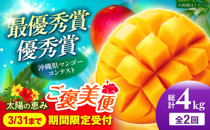 【全2回】太陽の恵み マンゴーご褒美便 (総4kg) マンゴー 2026 沖縄 果物 フルーツ ギフト 沖縄市 / 仲村農園 [BCZZ053]