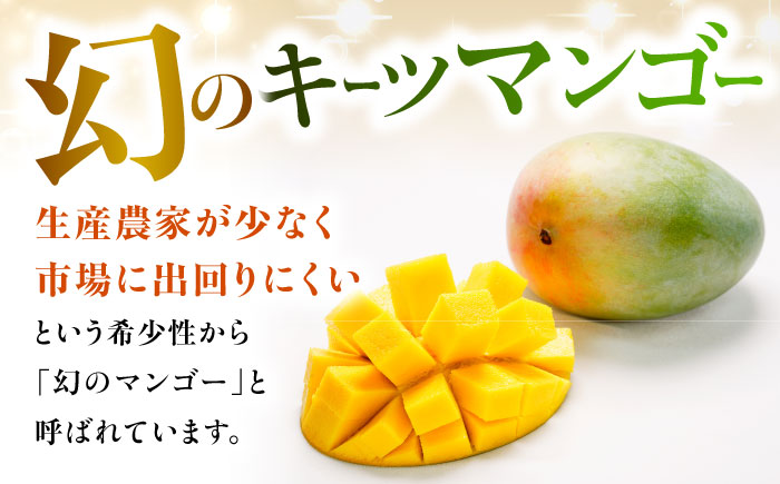 【2026年発送・数量限定】 【訳あり】 沖縄県産キーツマンゴー 約2kg (2〜5玉) マンゴー 沖縄 果物 フルーツ ギフト 沖縄市 / ちゃんぷる〜市場 [BCAA005]