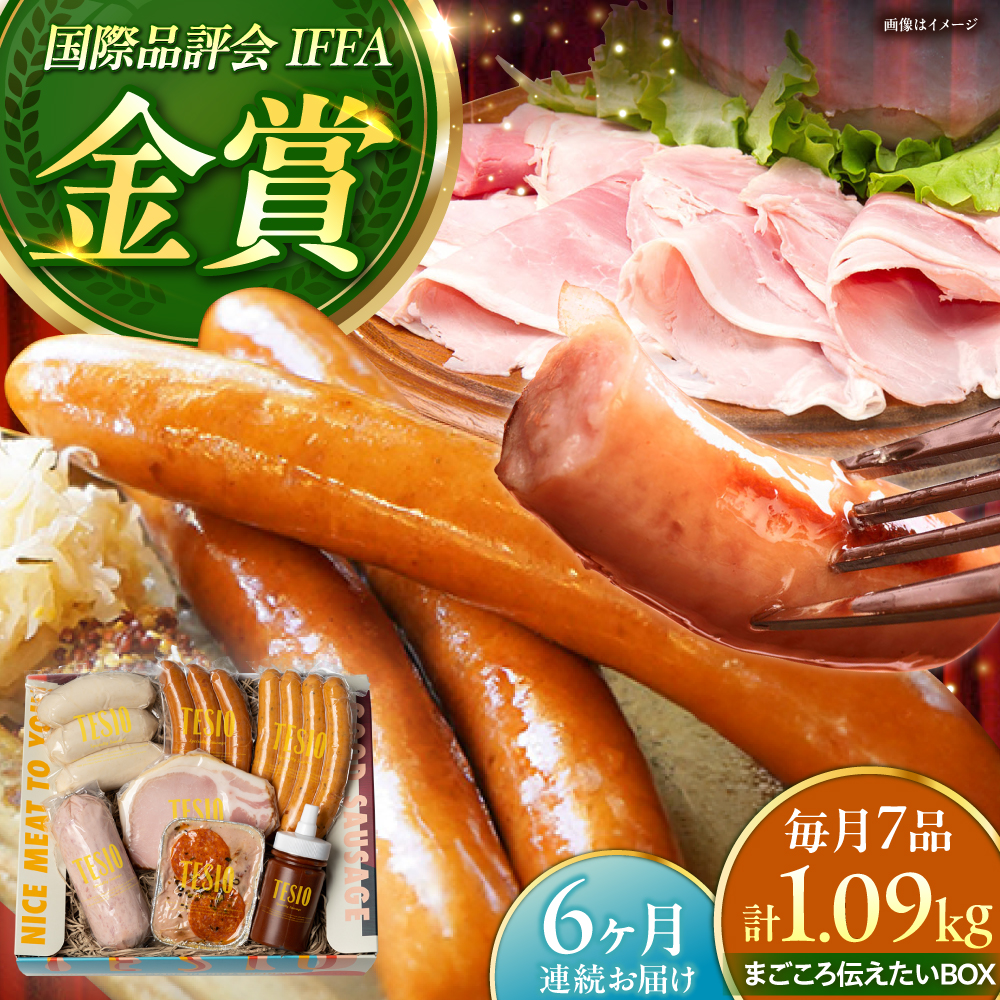 【全6回定期便】TESIOの自家製ハム＆ソーセージ 『まごころ伝えたいBOX』 豚肉 ハム ソーセージ 小分け 真空パック 沖縄市 / TESIO [BCAD014]