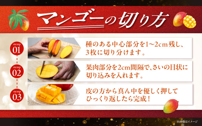 【2026年発送】【贈答用】仲村農園の完熟アップルマンゴー1kg マンゴー 沖縄 果物 フルーツ ギフト 沖縄市 / 仲村農園 [BCCU002]