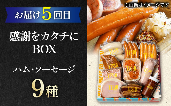 【全6回定期便】家族で満喫！沖縄のお肉贅沢セット【沖縄市】ハンバーグ あぐー 石垣牛 ステーキ 焼肉 冷凍 ギフト お取り寄せ 沖縄市 / お肉屋本店 / 豚々茶舗 / TESIO / 肉のサブロー [BCZZ034]