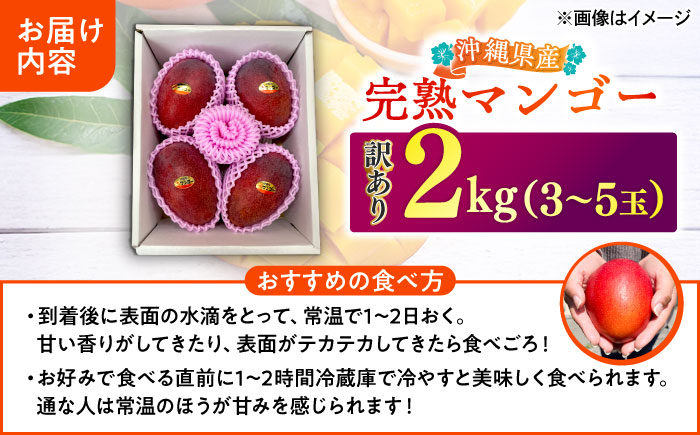 【優秀賞受賞】沖縄県産 完熟マンゴー 訳アリ 2kg (3〜5玉) マンゴー 沖縄 果物 フルーツ ギフト 沖縄市 / MAIFARM [BCAN004]