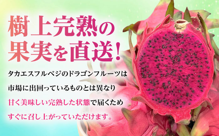 【2026年発送 先行受付】 【小玉】 完熟ドラゴンフルーツ 1.5kg (5玉) 果物 フルーツ スーパーフード 産地直送 無農薬 沖縄市 / タカエスフルーツ＆ベジタブル [BCBH005]