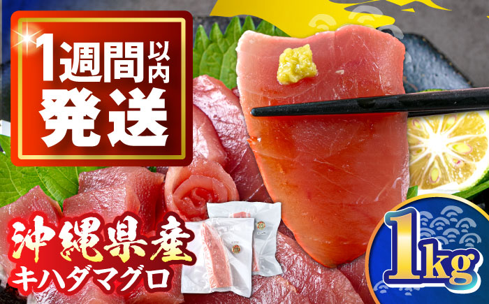 冷凍キハダマグロ 1kg (500g×2パック) マグロ まぐろ 小分け 冷凍 刺身 赤身 沖縄市 / 沖縄市漁業協同組合 パヤオ直売店 [BCDZ001]