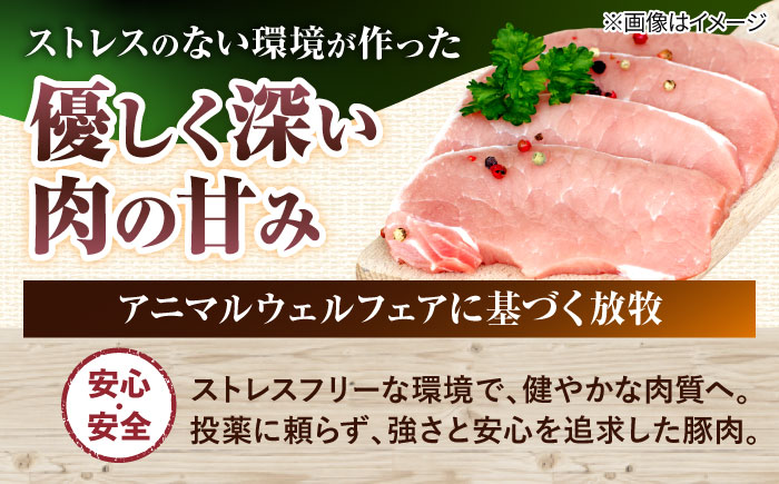 『命豚レバー好きセット』 豚肉 レバーパテ レバーペースト スモークレバー おつまみ 詰め合わせ お取り寄せ 国産 ギフト 冷凍 沖縄市 / DELICATESSEN NUCHIBUTA [BCAR001]