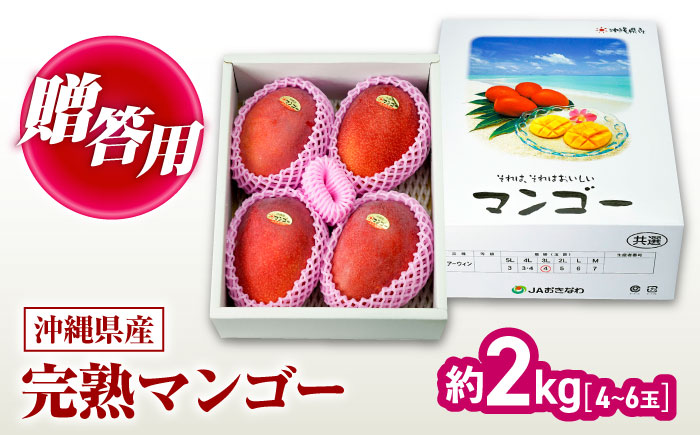 【2026年発送】 完熟マンゴー 約2kg (4〜6玉 / 化粧箱・秀品) マンゴー 沖縄 果物 フルーツ ギフト 沖縄市 / ちゃんぷる〜市場 [BCAA004]