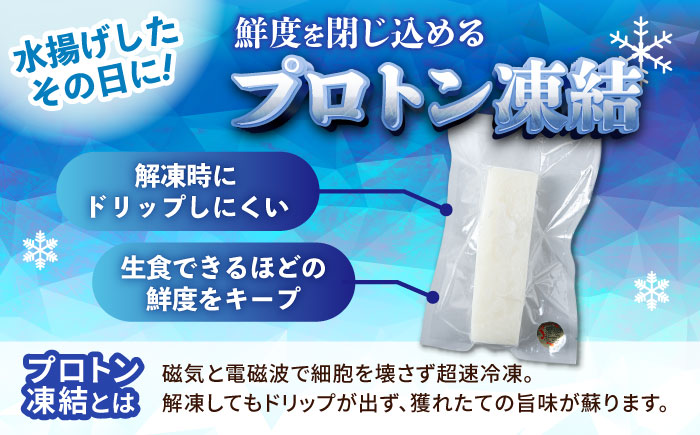 セーイカ (そでいか) 0.6kg (300g ×2パック) 沖縄市 / 沖縄市漁業協同組合 パヤオ直売店 [BCDZ002]