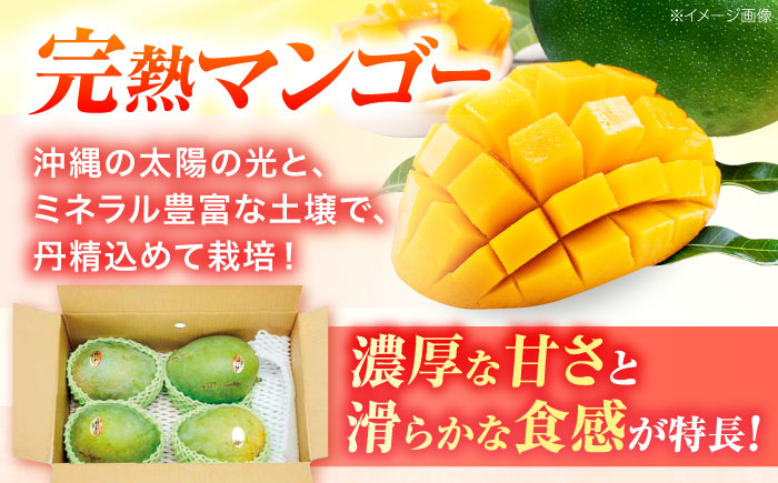 【2026年発送・数量限定】 【訳あり】 沖縄県産キーツマンゴー 約2kg (2〜5玉) マンゴー 沖縄 果物 フルーツ ギフト 沖縄市 / ちゃんぷる〜市場 [BCAA005]