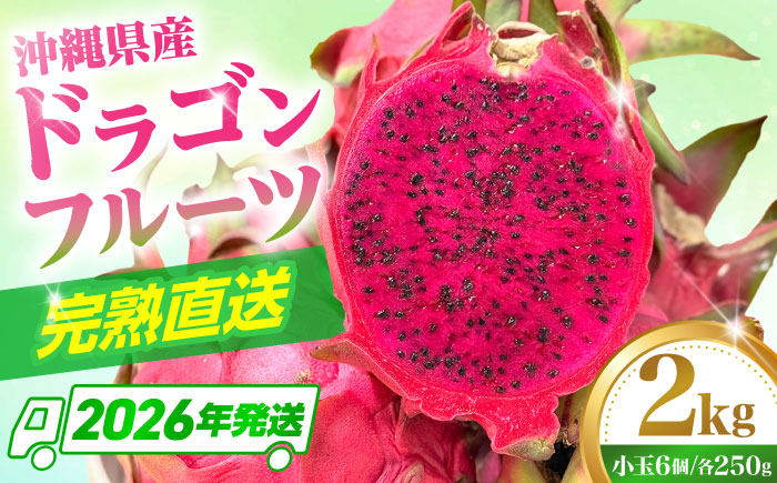 【2026年発送 先行受付】 【小玉】 完熟ドラゴンフルーツ 2kg (6玉) 果物 フルーツ スーパーフード 産地直送 無農薬 沖縄市 / タカエスフルーツ＆ベジタブル [BCBH006]