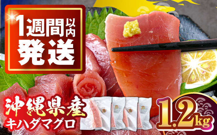 冷凍キハダマグロ 1.2kg (300g×4パック) マグロ まぐろ 小分け 冷凍 刺身 赤身 沖縄市 / 沖縄市漁業協同組合 パヤオ直売店 [BCDZ007]