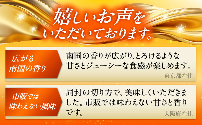 【全2回】太陽の恵み マンゴーご褒美便 (総計3kg) マンゴー 2026 沖縄 果物 フルーツ ギフト 沖縄市 / 仲村農園 [BCZZ052]