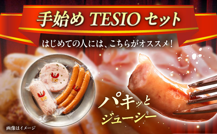 TESIOの自家製ハム＆ソーセージ 『手始めTESIOセット』 豚肉 ハム ソーセージ 小分け 真空パック 沖縄市 / TESIO [BCAD001]