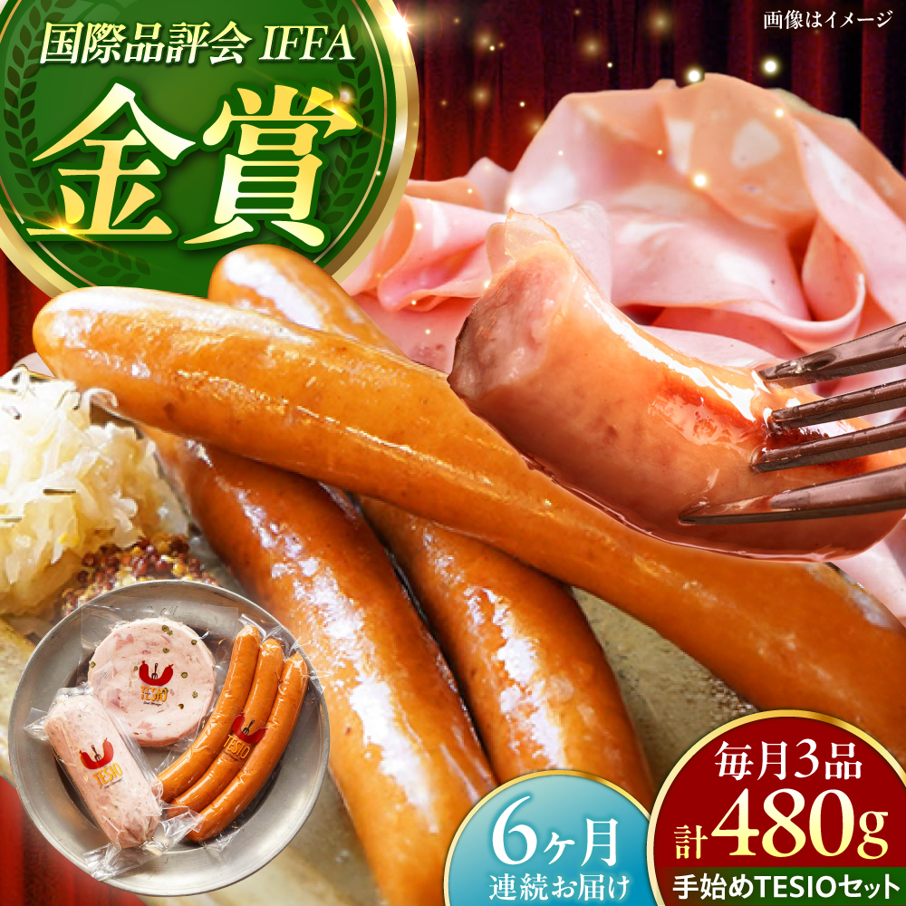 【全6回定期便】TESIOの自家製ハム＆ソーセージ 『手始めTESIOセット』 豚肉 ハム ソーセージ 小分け 真空パック 沖縄市 / TESIO [BCAD008]