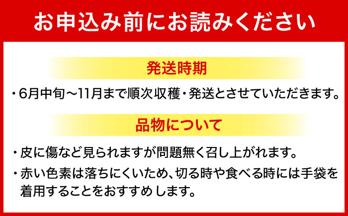 【2026年発送 先行受付】 完熟ドラゴンフルーツ 2kg (5玉) 果物 フルーツ スーパーフード 産地直送 無農薬 沖縄市 / タカエスフルーツ＆ベジタブル [BCBH004]