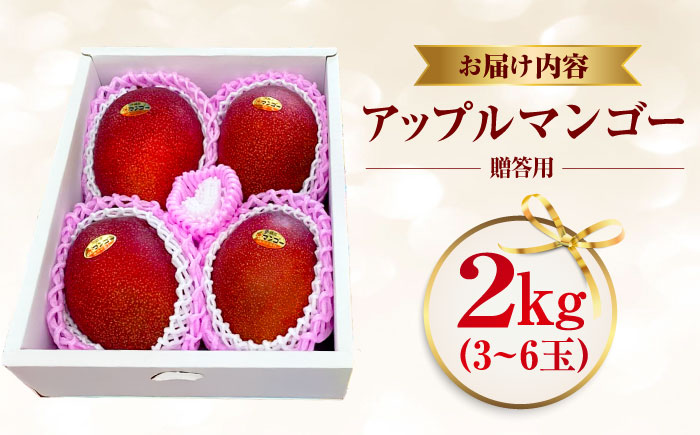 【2026年発送】【贈答用】仲村農園の完熟アップルマンゴー2kg マンゴー 沖縄 果物 フルーツ ギフト 沖縄市 / 仲村農園 [BCCU001]