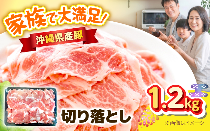 沖縄県産豚切り落とし 1.2kg 豚肉 ポーク 冷凍 小分け 国産 沖縄県産 しゃぶしゃぶ きりおとし 1200g 沖縄市 / 丸市ミート [BCEQ006]
