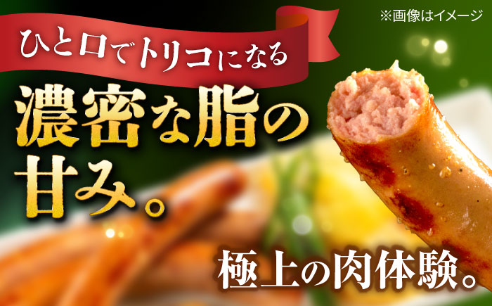 『NUCHIBUTA Bセット』 豚肉 ポークステーキ ソーセージ 詰め合わせ お取り寄せ 国産 ギフト 冷凍 沖縄市 / DELICATESSEN NUCHIBUTA [BCAR004]