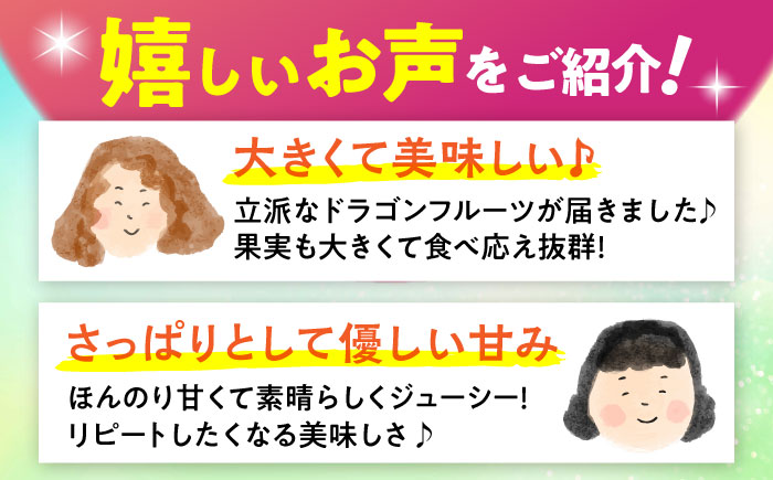 【2026年発送 先行受付】 完熟ドラゴンフルーツ 2kg (5玉) 果物 フルーツ スーパーフード 産地直送 無農薬 沖縄市 / タカエスフルーツ＆ベジタブル [BCBH004]