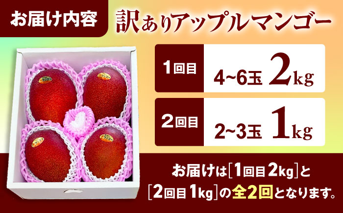 【全2回】太陽の恵み マンゴーご褒美便 (総計3kg) マンゴー 2026 沖縄 果物 フルーツ ギフト 沖縄市 / 仲村農園 [BCZZ052]