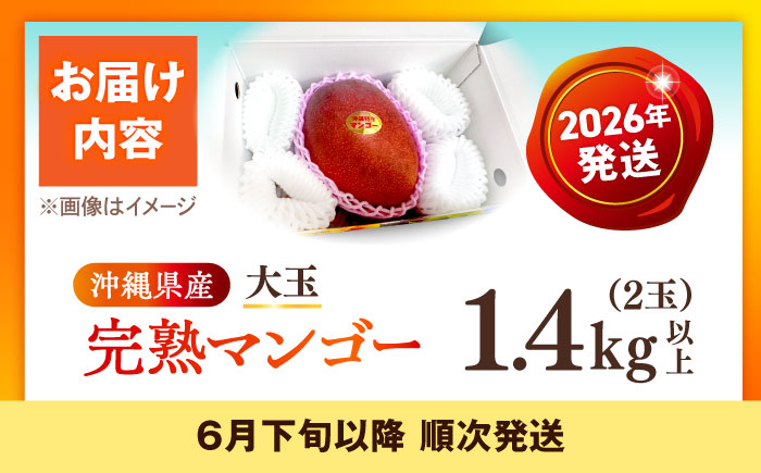 【先行予約】【最優秀賞受賞】沖縄県産 完熟マンゴー 大玉 2個入り マンゴー 沖縄 果物 フルーツ ギフト 沖縄市 / MAIFARM [BCAN006]