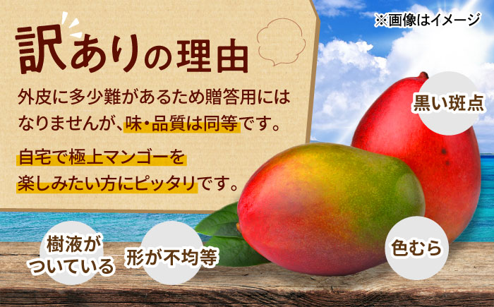 【全2回】太陽の恵み マンゴーご褒美便 (総計3kg) マンゴー 2026 沖縄 果物 フルーツ ギフト 沖縄市 / 仲村農園 [BCZZ052]