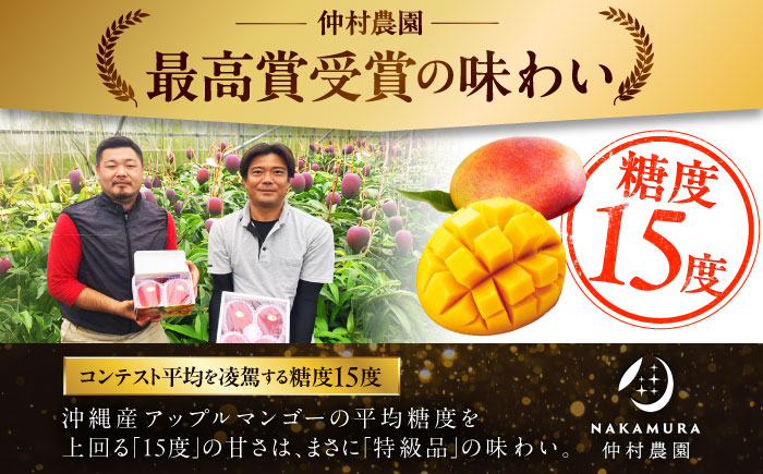 【2026年発送】【訳あり】仲村農園の完熟アップルマンゴー 1kg マンゴー 沖縄 果物 フルーツ ギフト 沖縄市 / 仲村農園 [BCCU004]