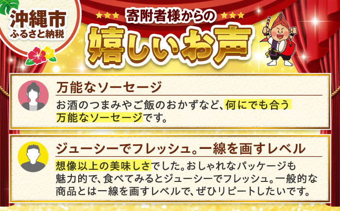 TESIOの自家製ハム＆ソーセージ 『まごころ伝えたいBOX』 豚肉 ハム ソーセージ 小分け 真空パック 沖縄市 / TESIO [BCAD003]