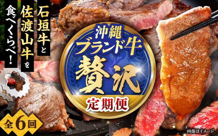 【全6回定期便】沖縄ブランド牛を堪能！贅沢お肉定期便【沖縄市】牛肉 和牛 サーロインステーキ 焼肉 赤身 沖縄市 / 肉のサブロー / お肉屋本店 [BCZZ028]