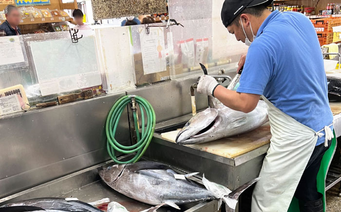 冷凍マグロギョーザ 48個(12個入り4パック) 餃子 冷凍 国産 マグロ 沖縄産 沖縄市 / 沖縄市漁業協同組合 パヤオ直売店 [BCDZ011]