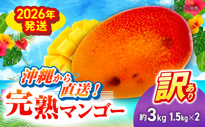 【先行予約 2026年発送 予約受付】 訳あり 完熟マンゴー 約3kg (約1.5kg (3〜6玉) ×2箱) マンゴー 沖縄 果物 フルーツ ギフト 沖縄市 / ちゃんぷる〜市場 [BCAA003]