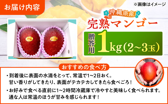 【優秀賞受賞】沖縄県産 完熟マンゴー 贈答用 1kg (2〜3玉) マンゴー 沖縄 果物 フルーツ ギフト 沖縄市 / MAIFARM [BCAN001]