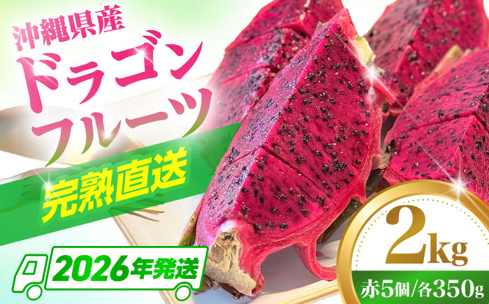 【2026年発送 先行受付】 完熟ドラゴンフルーツ 2kg (5玉) 果物 フルーツ スーパーフード 産地直送 無農薬 沖縄市 / タカエスフルーツ＆ベジタブル [BCBH004]
