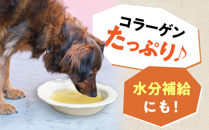 PETICUTERI 『ペットフード -BONE BROTH (ボーンブロス)- 』 ペットフード 犬 猫 肥満 豚肉 沖縄市 / TESIO [BCAD027]