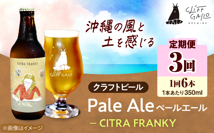 【全3回定期便】-CLIFF BEER- CITRA FRANKY  (ペールエール) 6本入り ビール クラフトビール 350ml 飲み比べ ギフト 沖縄市 / 株式会社クリフクラフト [BCDS010]