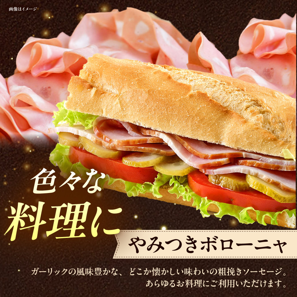 TESIOの自家製ハム＆ソーセージ 『手始めTESIOセット』 豚肉 ハム ソーセージ 小分け 真空パック 沖縄市 / TESIO [BCAD001]