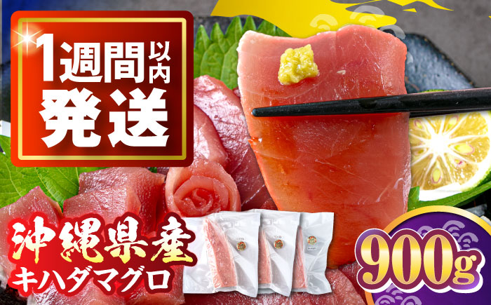 冷凍キハダマグロ 900g (300g×3パック) マグロ まぐろ 小分け 冷凍 刺身 赤身 沖縄市 / 沖縄市漁業協同組合 パヤオ直売店 [BCDZ006]