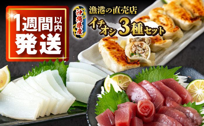 漁港直売店イチオシ3種セット (冷凍キハダマグロ1kg / セーイカ0.6kg / マグロギョーザ24個) 沖縄市 / 沖縄市漁業協同組合 パヤオ直売店 [BCDZ004]