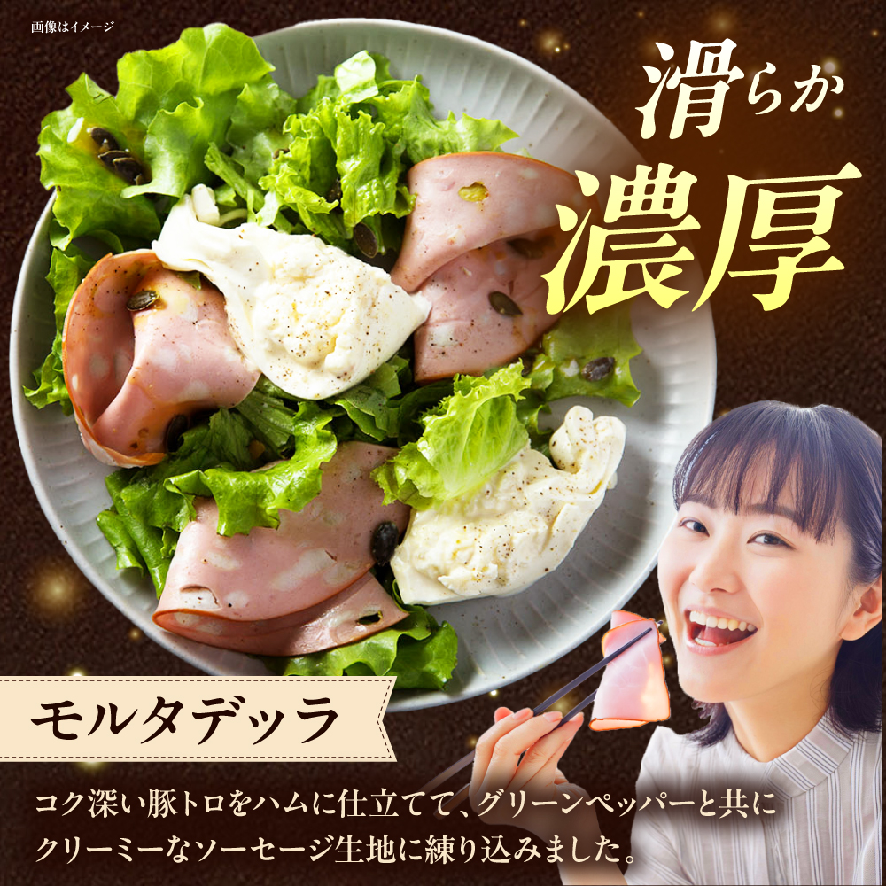 【全12回定期便】TESIOの自家製ハム＆ソーセージ 『手始めTESIOセット』 豚肉 ハム ソーセージ 小分け 真空パック 沖縄市 / TESIO [BCAD009]