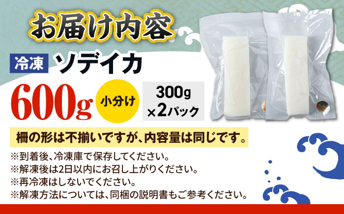 セーイカ (そでいか) 0.6kg (300g ×2パック) 沖縄市 / 沖縄市漁業協同組合 パヤオ直売店 [BCDZ002]