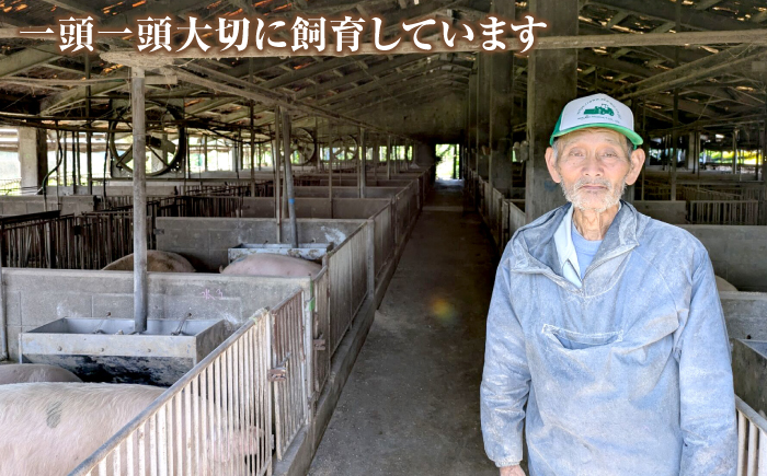 おにくの碧龍の「アグー豚のもも角切り (カレー・シチュー用) 1.2kg (200g×6袋)」  豚肉 モモ もも肉 カレー シチュー 小分け 冷凍 国産 沖縄県産 沖縄市 / おにくの碧龍 [BCEO003]