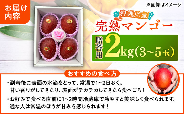 【優秀賞受賞】沖縄県産 完熟マンゴー 贈答用 2kg (3〜5玉) マンゴー 沖縄 果物 フルーツ ギフト 沖縄市 / MAIFARM [BCAN002]