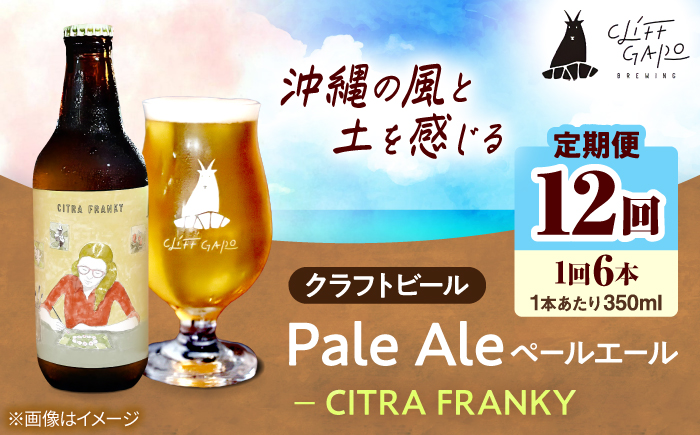 【全12回定期便】-CLIFF BEER- CITRA FRANKY  (ペールエール) 6本入り ビール クラフトビール 350ml 飲み比べ ギフト 沖縄市 / 株式会社クリフクラフト [BCDS012]